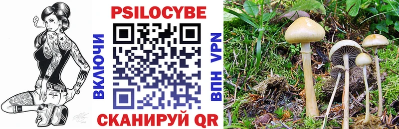 Псилоцибиновые грибы мицелий  Тихорецк 