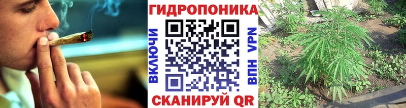 где купить наркоту  Тихорецк  Каннабис OG Kush 